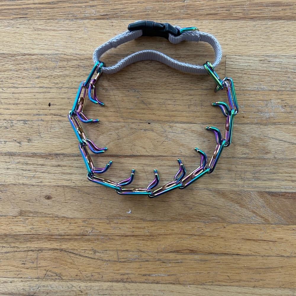 Colorful prong collar